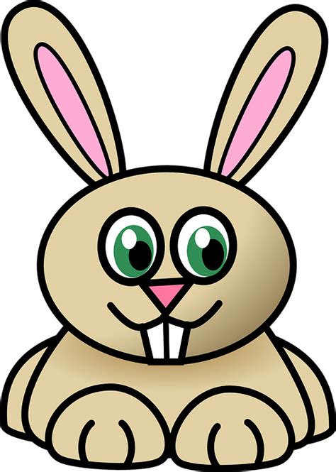 Rabbit Animal Cartoon · Free vector graphic on Pixabay