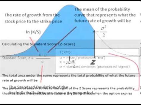 Black Scholes Equation Explained - Tessshebaylo