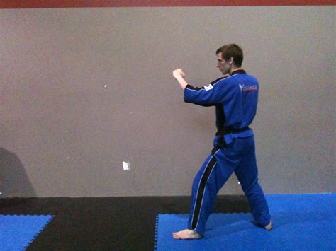 The Comprehensive Guide to Kicking, Vol #1: Taekwondo Front Kick ...