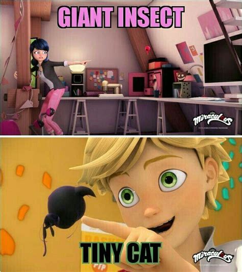 Miraculous ladybug Memes | Miraculous ladybug memes, Miraculous ladybug, Miraculous ladybug funny