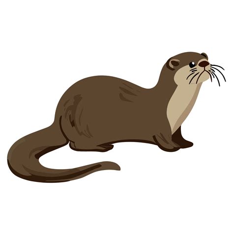 Otter clipart transparent background 24029765 PNG