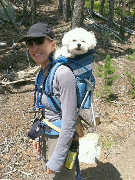 When I love my Dog | Diy dog backpack, Dog backpack carrier, Dog backpack