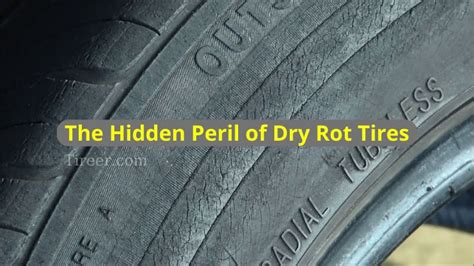 The Hidden Peril of Dry Rot Tires - Tireer