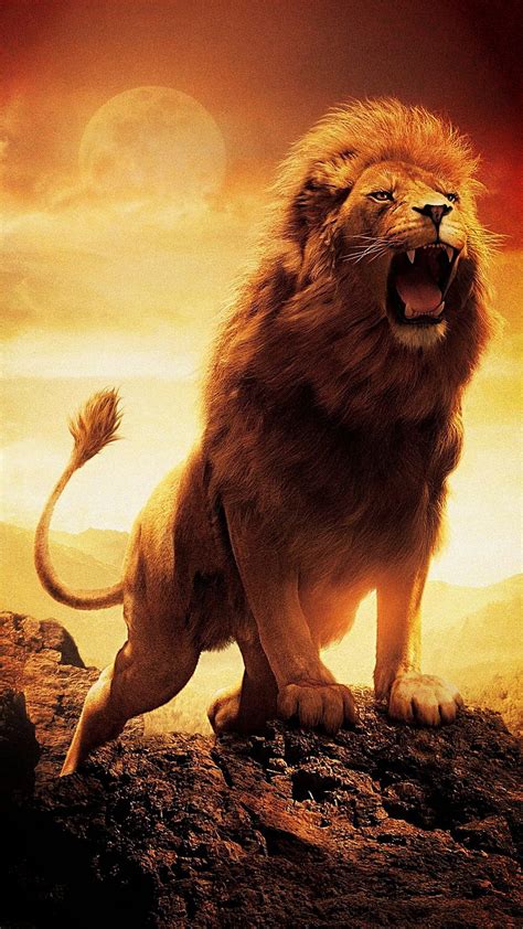 Hd Wallpapers Of Lion King