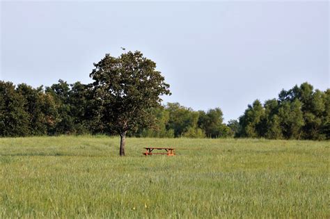 Picnic Table In A Country Field Free Stock Photo - Public Domain Pictures