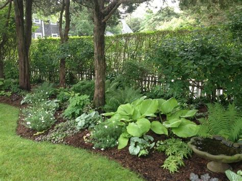 shade gardens zone 5 - Google Search | Garden ideas under trees, Shade garden, Shade garden design