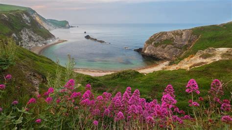 Jurassic Coast, Dorset, England, UK | Jurassic coast, Dorset coast, England beaches