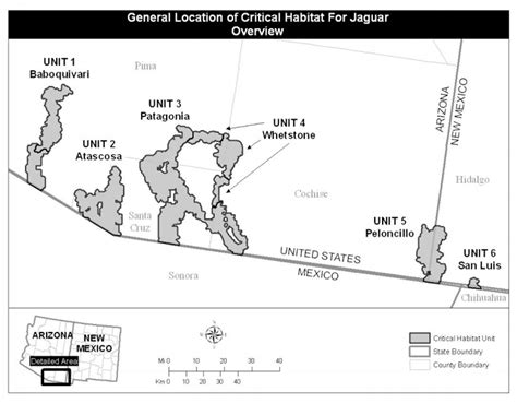 Feds propose 1,200 sq. miles for jaguar habitat in S. Az