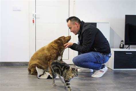 Take a bow-wow! Meet Bobi, the world's oldest dog on record - The Japan ...