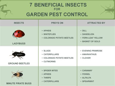 “Beneficial” Insects act as Alternative to Harmful & Toxic Pesticides – No Spray Coalition