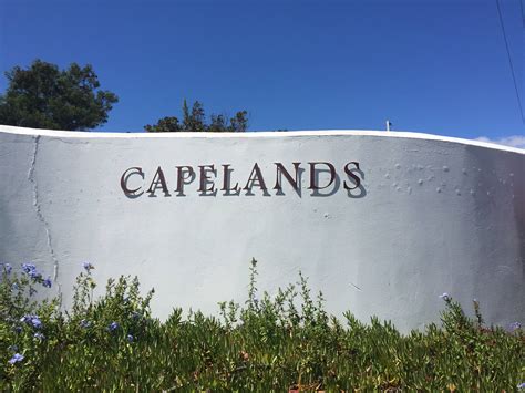 Putting Capelands on the Cape Winelands Map! – Cape Wine Lovers' Society