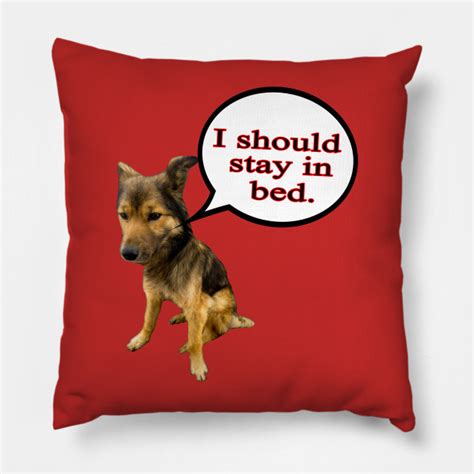 21+ Funny Dog Memes Pillow - Factory Memes