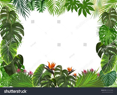 Vector Tropical Jungle Background Palm Trees Stock Vector (Royalty Free ...