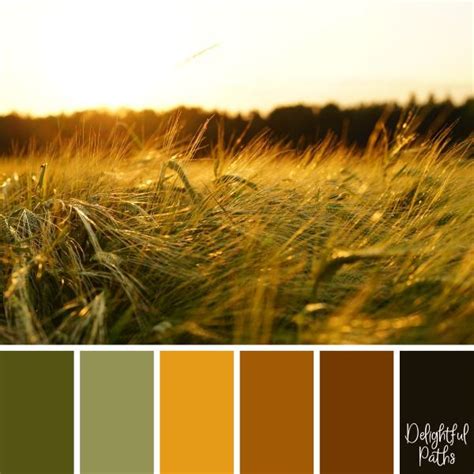 Harvest / Thanksgiving Inspired Color Palettes - Delightful Paths