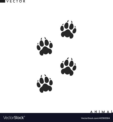 Lion paw print Royalty Free Vector Image - VectorStock