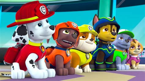 PAW Patrol Alphabet Learning (Nickelodeon) - Full Episodes 2020 - YouTube