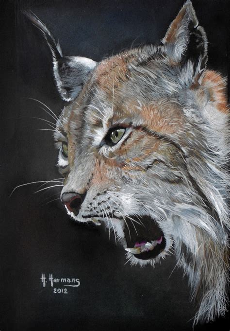 Lynx by HendrikHermans on DeviantArt