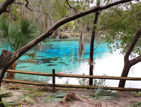 Fun Things To Do In Ocala, Florida | Buddy The Traveling Monkey