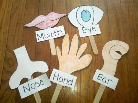 Teach Your Tot: Five Senses Puppets | Senses preschool, Toddler lessons, Five senses activities ...