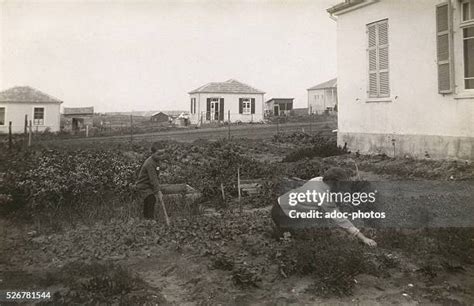 Israeli Kibbutz Photos and Premium High Res Pictures - Getty Images