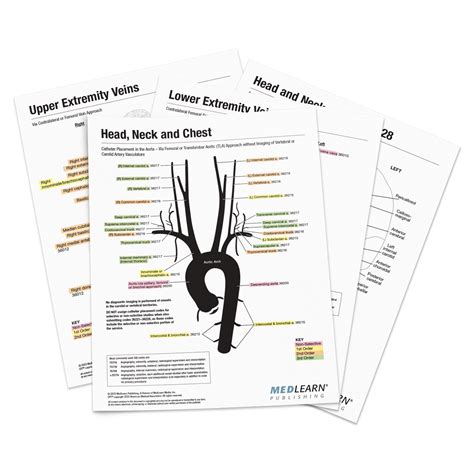 Vascular Coding Cheat Sheet 2024 - Maris Shandee