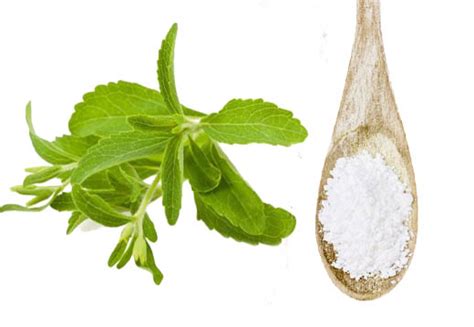 Stevia Leaf Extract I 100% Natural Sweetening Agent