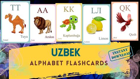 Uzbek Alphabet FLASHCARD With Picture Learning Uzbek Uzbek - Etsy