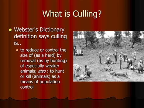 PPT - Culling PowerPoint Presentation, free download - ID:3525525