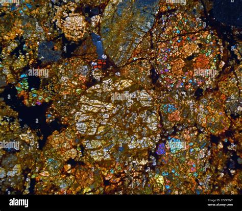 NWA meteorite microscope thin section slide showing chondrules ...