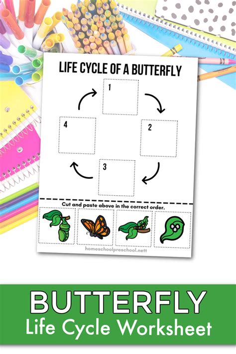 Free Butterfly Life Cycle Printable