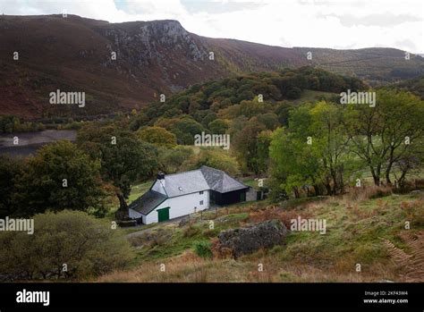 traditional welsh sheep farm whitewashed in mid Wales Stock Photo - Alamy