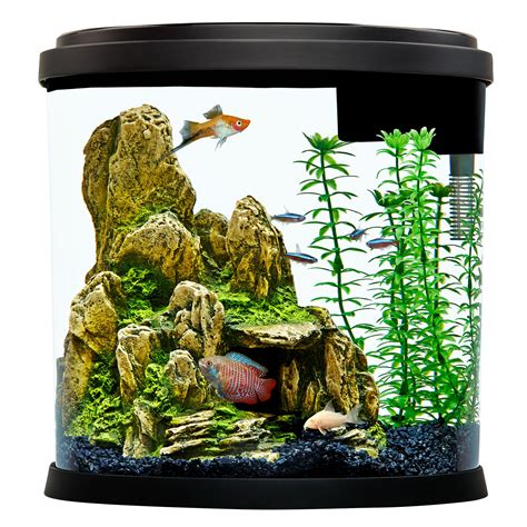 Top Fin® Half Moon Aquarium Gallon | ubicaciondepersonas.cdmx.gob.mx