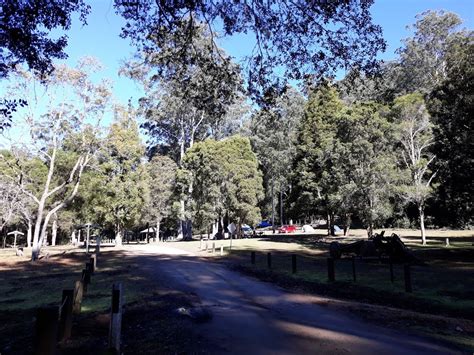 Gloucester River campground - 2804 Gloucester Tops Rd, Invergordon NSW ...