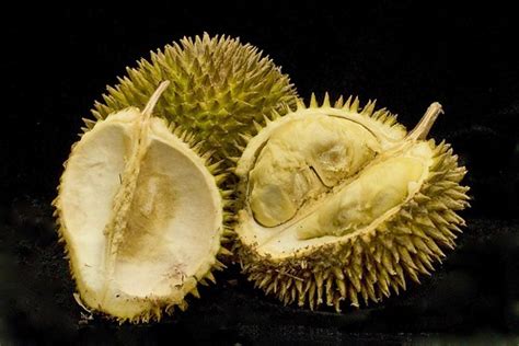 Durian - King of Fruits | #959 - Durian (Durio zibethinus) -… | Flickr