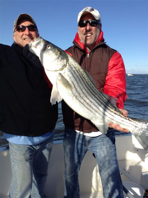 Atlantic Highlands Fishing Report | Raritan bay fishing report