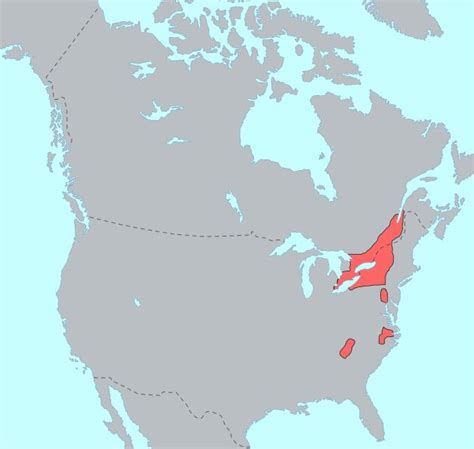 Iroquoian languages - Wikipedia | Native american map, Native american language, Native american ...