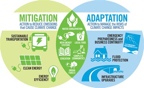 Climate Change Action Plan | York Region