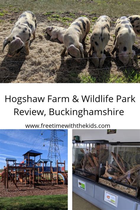 Hogshaw Farm & wildlife Park Review - Free Time with the Kids