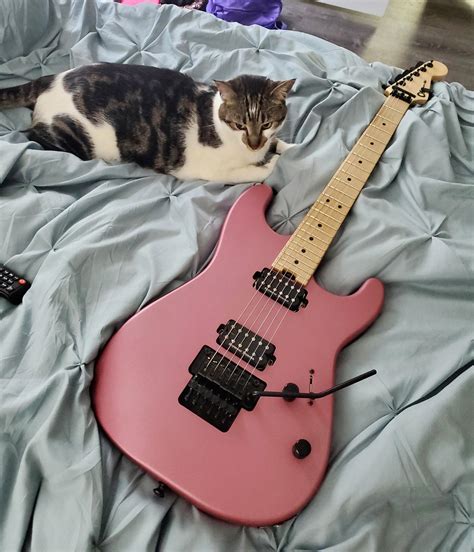 Charvel San Dimas : r/guitarporn