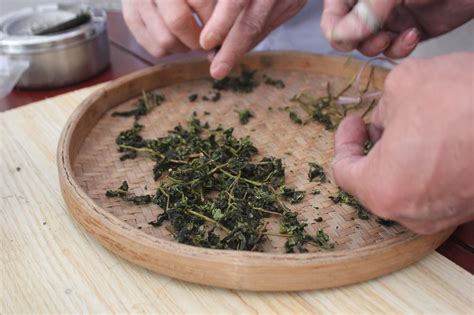 Tieguanyin Tea Dried Leaves - Free photo on Pixabay - Pixabay