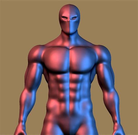 Realistic Human Body 3D Model