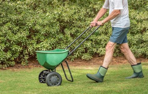 Best Fertilizer Spreader for Your Lawn (9 ranked & reviewed)