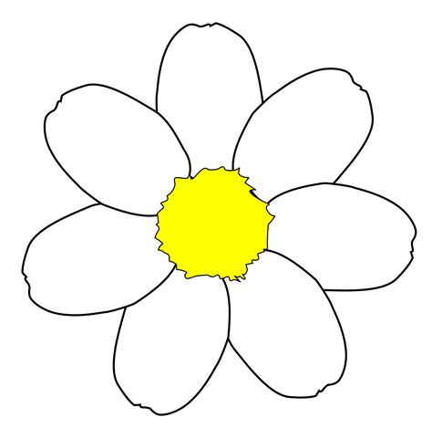 Flower Petal Drawing Clipart Best | Images and Photos finder