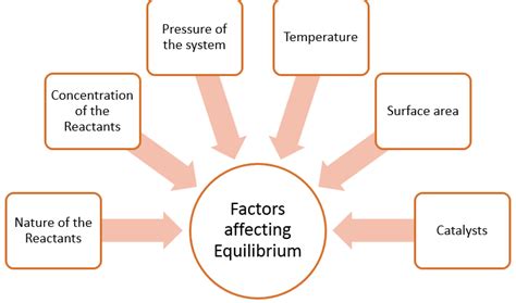 Factors affecting the equilibrium - W3schools