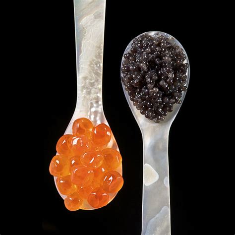 What Is the Most Expensive Caviar in the World? | HubPages