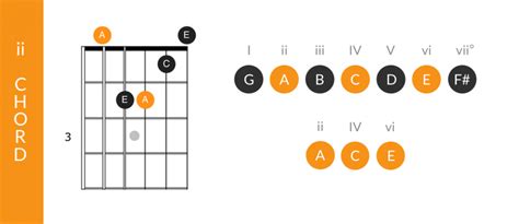 Chord Functions in the Major Keys