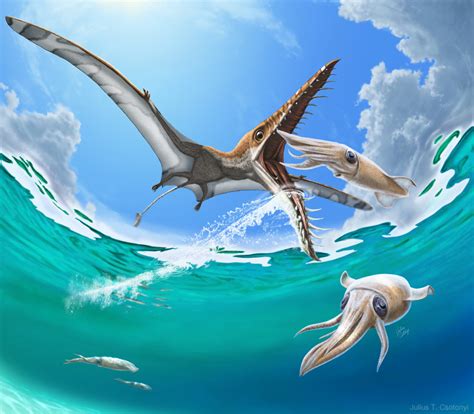 Species New to Science: [Paleontology • 2015] A Specimen of Rhamphorhynchus with Soft Tissue ...