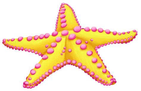 Starfish Clip art Sea Image - starfish png download - 1280*831 - Free Transparent Starfish png ...