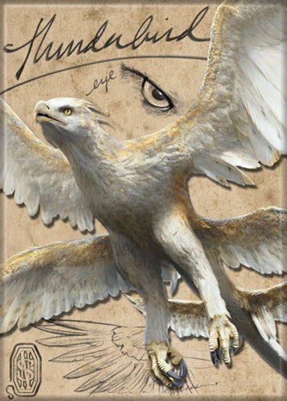 Fantastic Beasts Movie - Thunderbird Love Harry Potter / Fantastic beasts? Check out our H ...