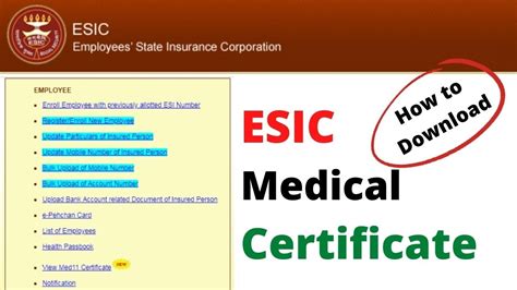 ESIC Registration Certificate C-11| How To Download Esic, 54% OFF